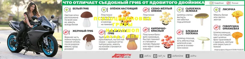 Галлюциногенные грибы MAGIC MUSHROOMS  мориарти формула  Барабинск  где найти  